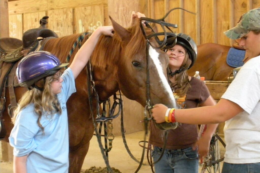 3 amazing places where you can go horseback riding in Huntsville 3 amazing places where you can go horseback riding in Huntsville