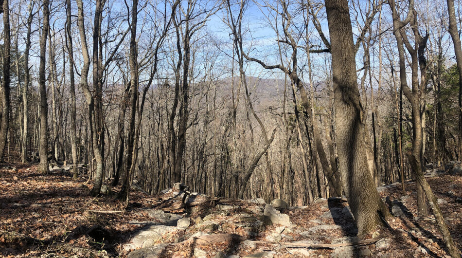 Land Trust makes new acquisition of 40+ acres on Huntsville’s Drake Mountain Land Trust makes new acquisition of 40+ acres on Huntsville’s Drake Mountain