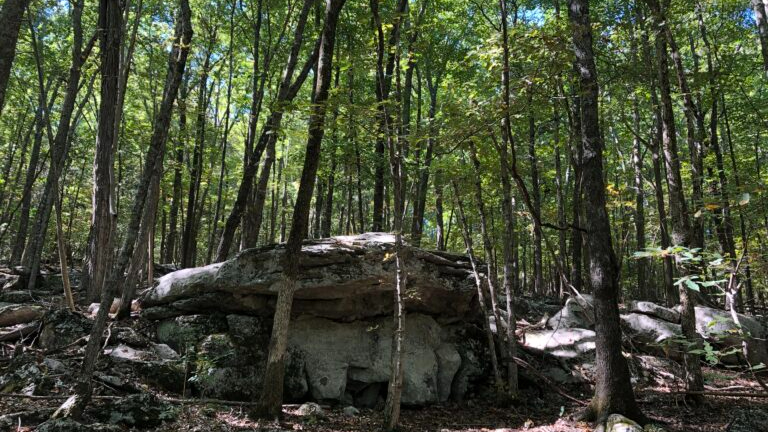 New nature preserve helps Land Trust reach 10K-acre milestone New nature preserve helps Land Trust reach 10K-acre milestone