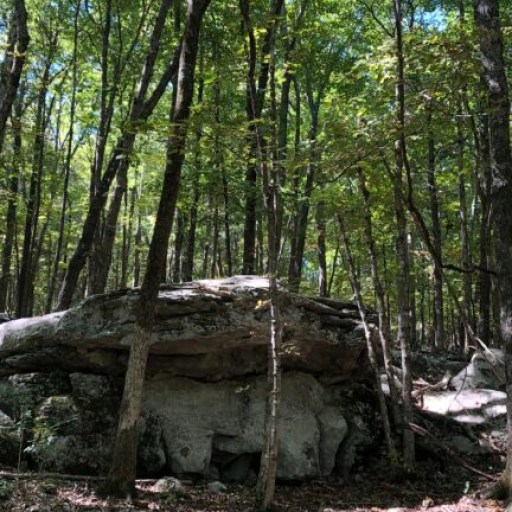 New nature preserve helps Land Trust reach 10K-acre milestone New nature preserve helps Land Trust reach 10K-acre milestone