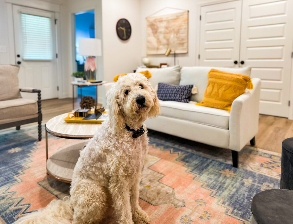 4 reasons my pup and I love these pet-friendly apartments near Huntsville 4 reasons my pup and I love these pet-friendly apartments near Huntsville