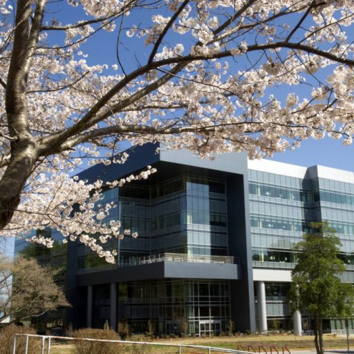 NEW: Joseph Pelfrey named director of Marshall Space Flight Center NEW: Joseph Pelfrey named director of Marshall Space Flight Center