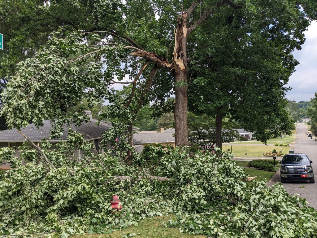 Severe thunderstorms leave thousands without power in Huntsville area Severe thunderstorms leave thousands without power in Huntsville area