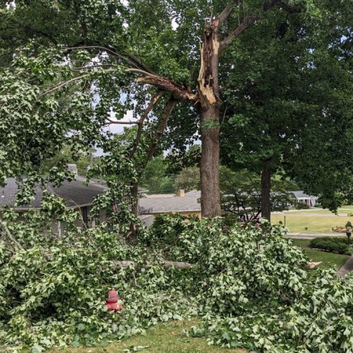 Severe thunderstorms leave thousands without power in Huntsville area Severe thunderstorms leave thousands without power in Huntsville area
