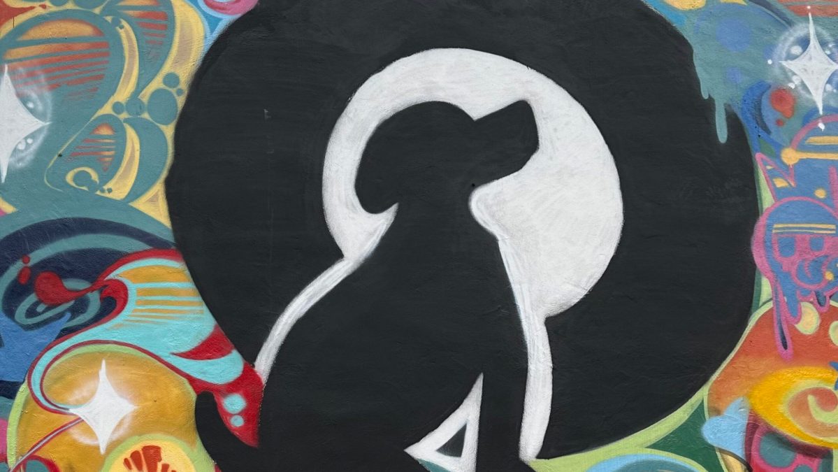Black Dog Grounds + Sounds’ unfortunate closing — what to know Black Dog Grounds + Sounds’ unfortunate closing — what to know