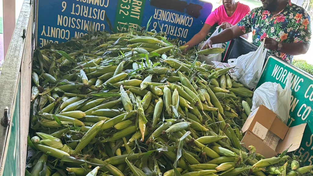 Community Garden’s new haul provides food for seniors Community Garden’s new haul provides food for seniors