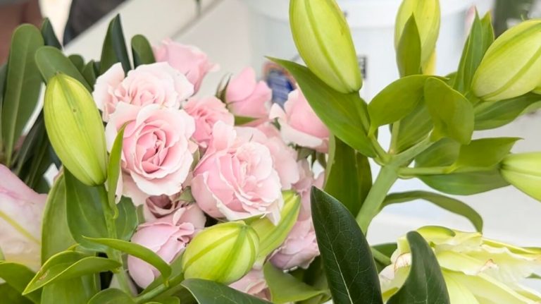 Self Care Day in Huntsville — a guide for treating yourself on this special day Self Care Day in Huntsville — a guide for treating yourself on this special day