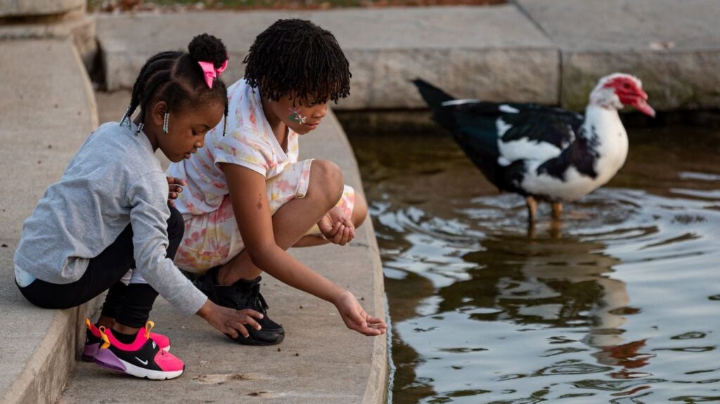 NEW: Apollo Park’s final phase—including kayak lagoon—to begin construction immediately NEW: Apollo Park’s final phase—including kayak lagoon—to begin construction immediately