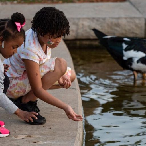 NEW: Apollo Park’s final phase—including kayak lagoon—to begin construction immediately NEW: Apollo Park’s final phase—including kayak lagoon—to begin construction immediately