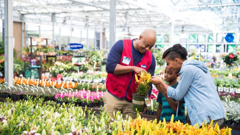 New Lowe’s Outlet opening soon in Huntsville New Lowe’s Outlet opening soon in Huntsville