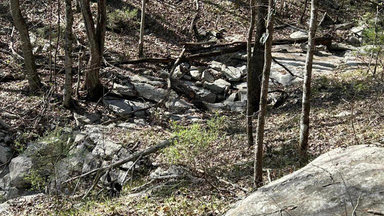 7 environmental conservation volunteer opportunities in the Huntsville area 7 environmental conservation volunteer opportunities in the Huntsville area