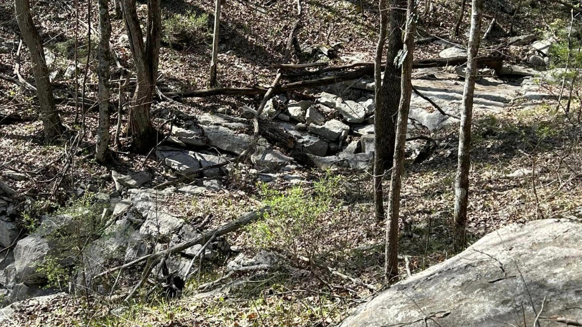 7 environmental conservation volunteer opportunities in the Huntsville area 7 environmental conservation volunteer opportunities in the Huntsville area