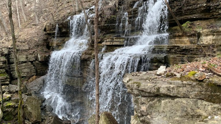 Top 4 North Alabama guided hikes for March Top 4 North Alabama guided hikes for March