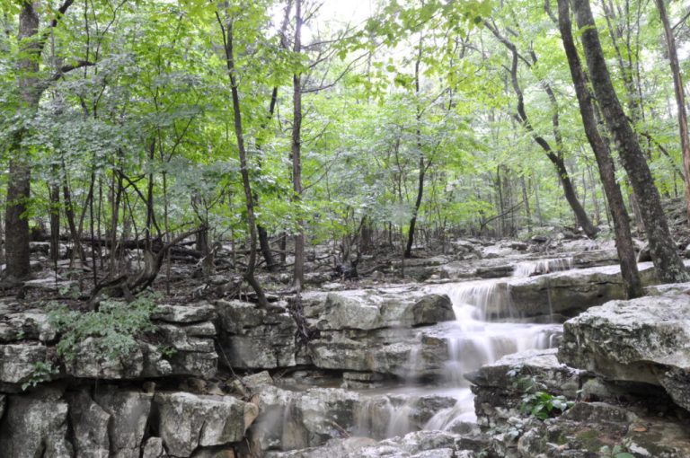 5 Scenic Huntsville hiking trails you need to explore 5 Scenic Huntsville hiking trails you need to explore