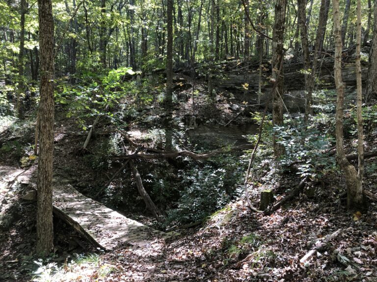 Legacy Loop Trail in Hickory Cove gets new bridge Legacy Loop Trail in Hickory Cove gets new bridge