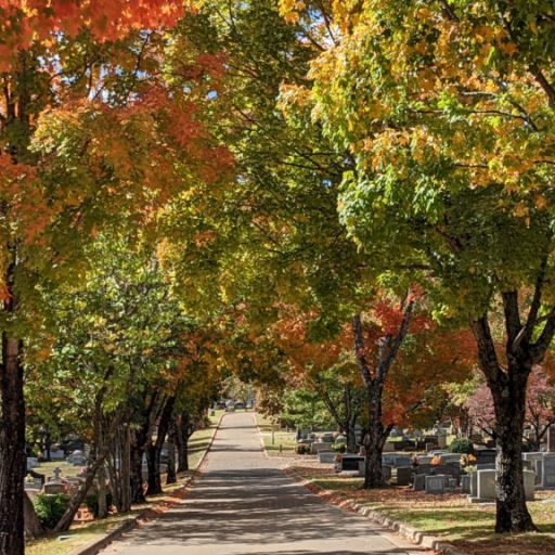 The best time to see fall foliage in North Alabama this year The best time to see fall foliage in North Alabama this year