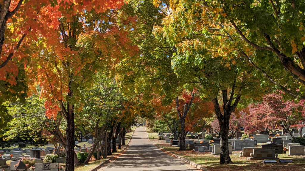 The best time to see fall foliage in North Alabama this year The best time to see fall foliage in North Alabama this year