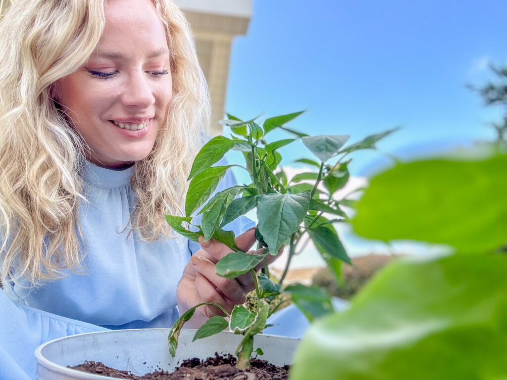 Fall gardening in Huntsville—what to plant right now + where to buy it Fall gardening in Huntsville—what to plant right now + where to buy it