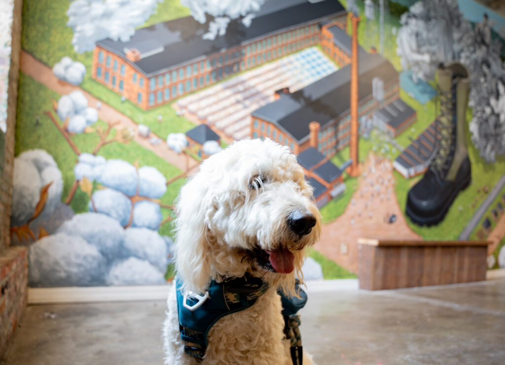 Huntsville Animal Services launches new adoption campaign Huntsville Animal Services launches new adoption campaign