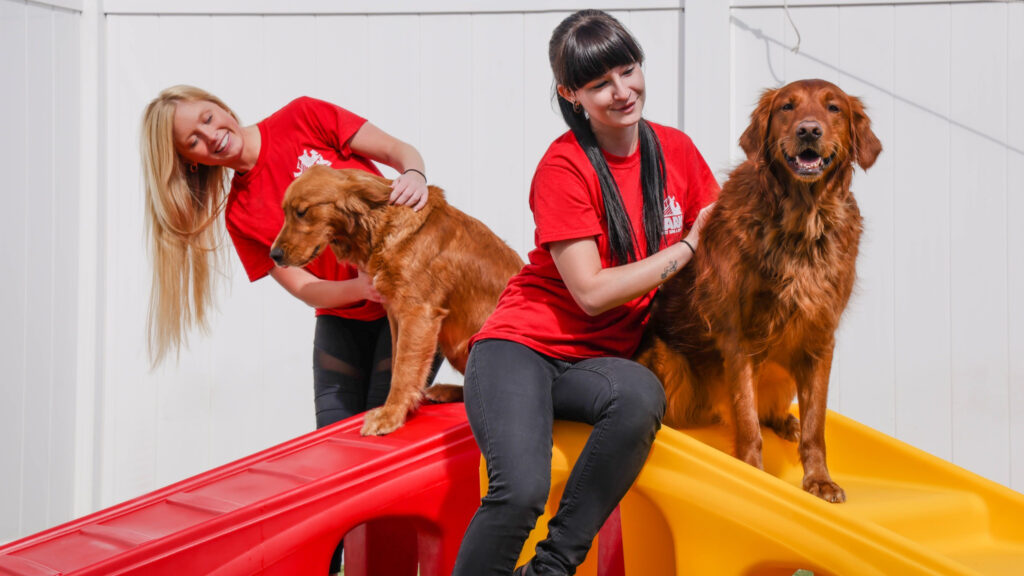 Discover these new businesses in the Huntsville area Discover these new businesses in the Huntsville area