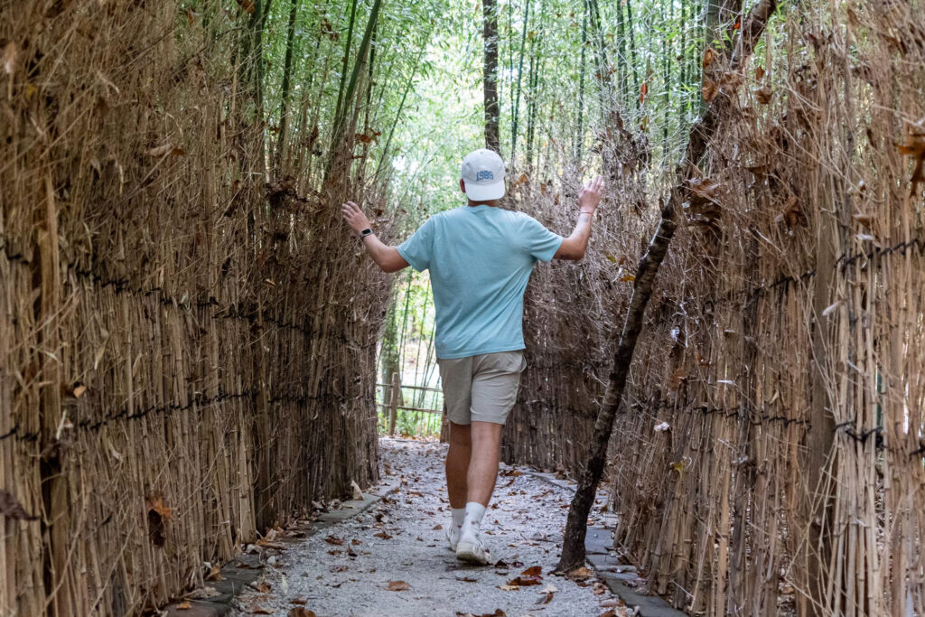 Try these beginner-friendly hikes here in the Huntsville area Try these beginner-friendly hikes here in the Huntsville area