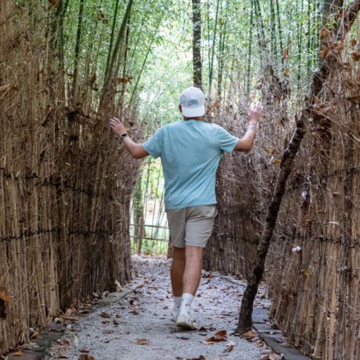 Try these beginner-friendly hikes here in the Huntsville area Try these beginner-friendly hikes here in the Huntsville area