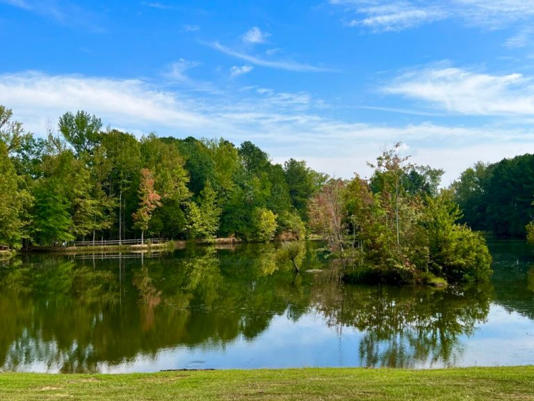 5 of the best spots to hike around Huntsville 5 of the best spots to hike around Huntsville