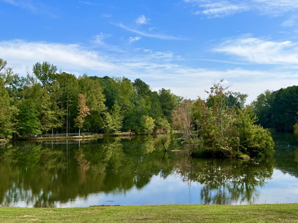 5 of the best spots to hike around Huntsville 5 of the best spots to hike around Huntsville