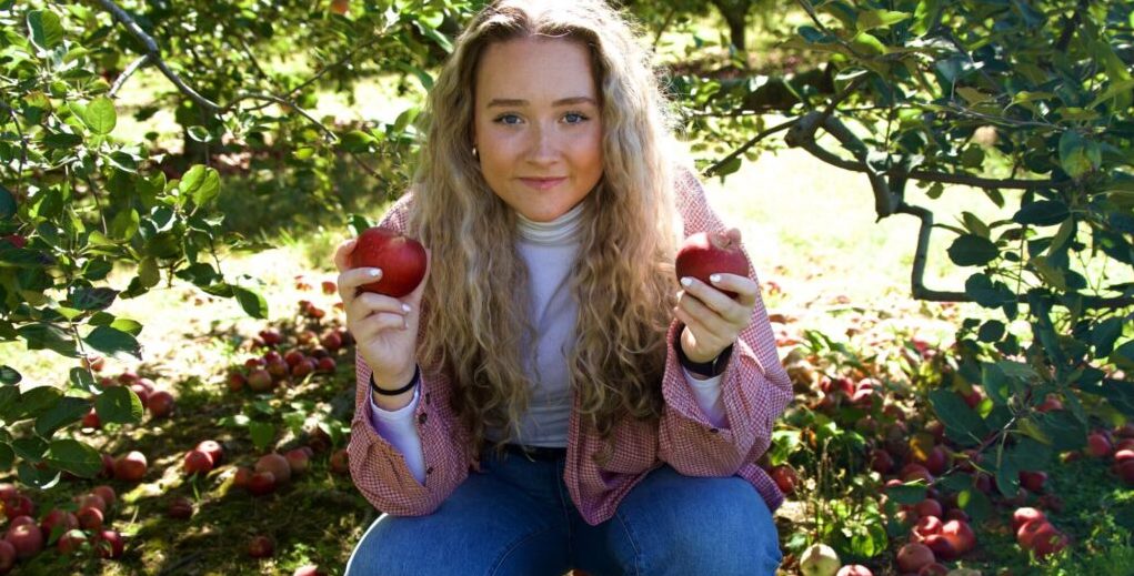 8 u-pick farms in the Huntsville area—pumpkins, berries + more 8 u-pick farms in the Huntsville area—pumpkins, berries + more