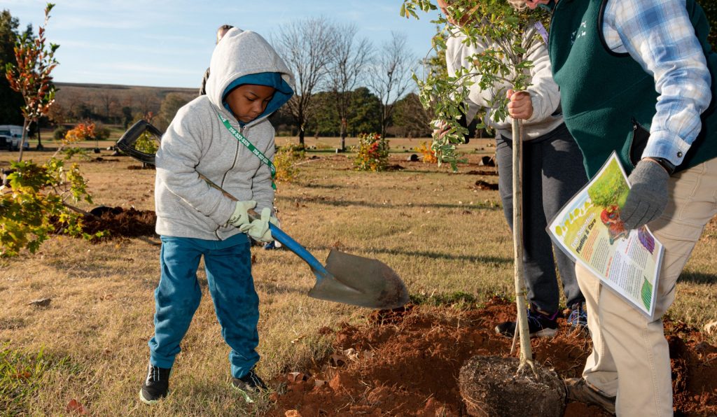 Fall Tree Planting Day 2023 in Huntsville—what to know Fall Tree Planting Day 2023 in Huntsville—what to know