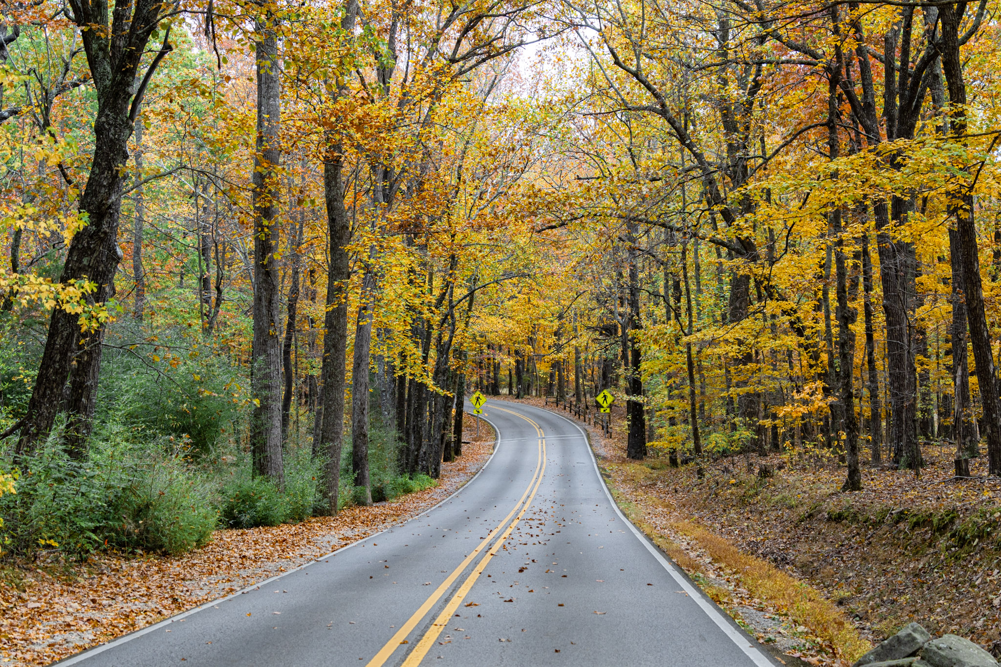 The best scenic drives in North Alabama The best scenic drives in North Alabama
