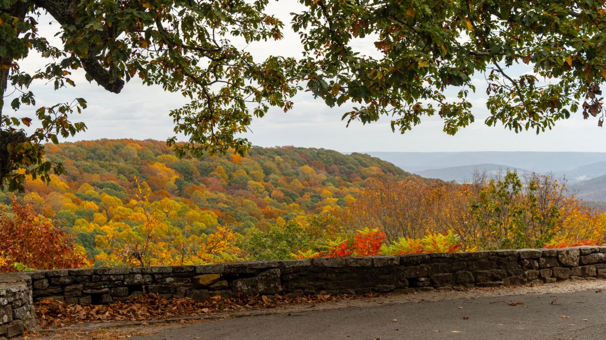 Check out these free programs from Huntsville Parks + Recreation this fall Check out these free programs from Huntsville Parks + Recreation this fall