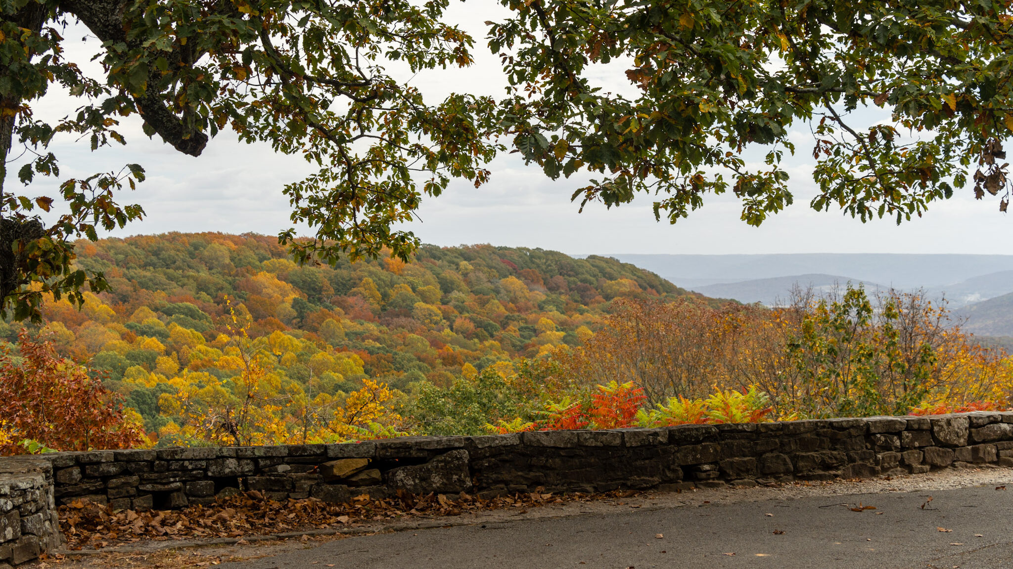 Check out these free programs from Huntsville Parks + Recreation this fall Check out these free programs from Huntsville Parks + Recreation this fall