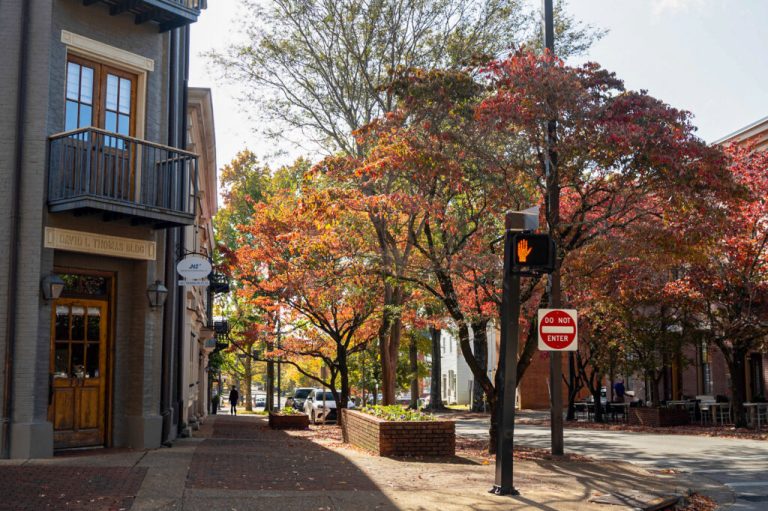 Tinsel Trail highlights exciting list of weekend events Tinsel Trail highlights exciting list of weekend events