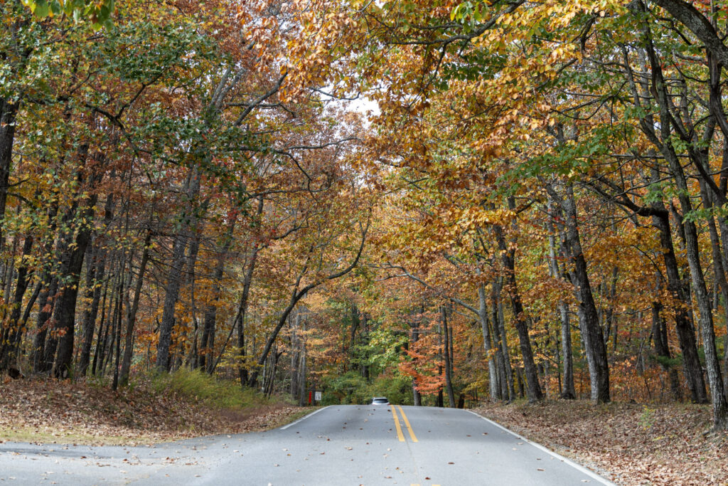 6 great places to catch peak fall color in Huntsville + locally 6 great places to catch peak fall color in Huntsville + locally