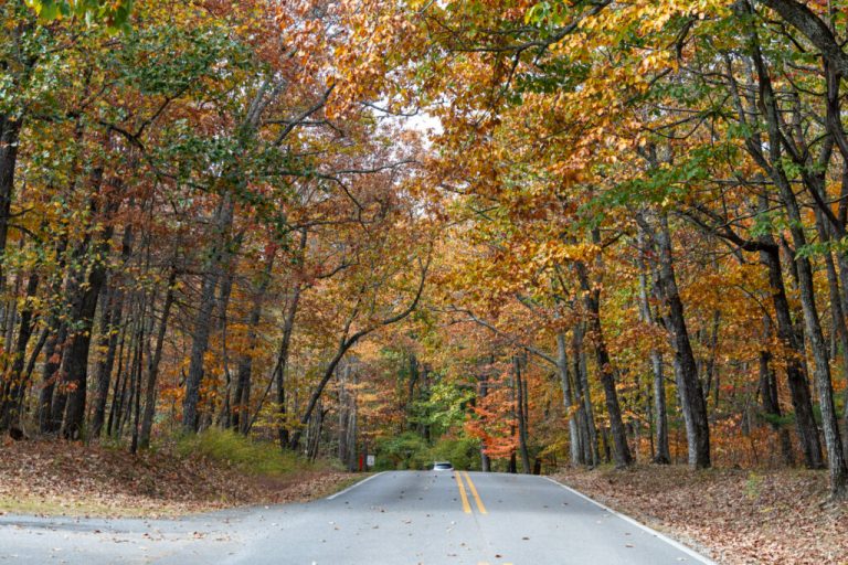 Ready to see some fall foliage? Here’s when + where Ready to see some fall foliage? Here’s when + where
