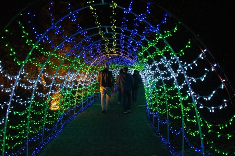 5 holiday volunteer opportunities for those in the giving spirit 5 holiday volunteer opportunities for those in the giving spirit