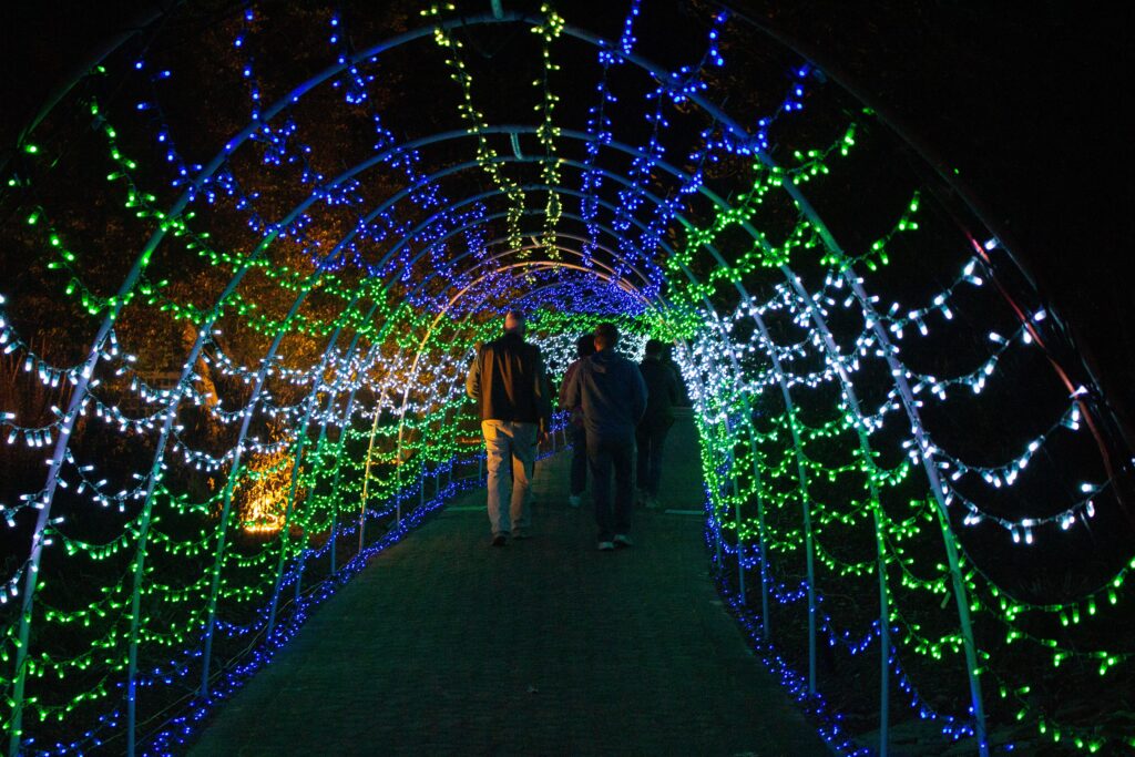 NEW: This Huntsville holiday light-show won an amazing national award NEW: This Huntsville holiday light-show won an amazing national award