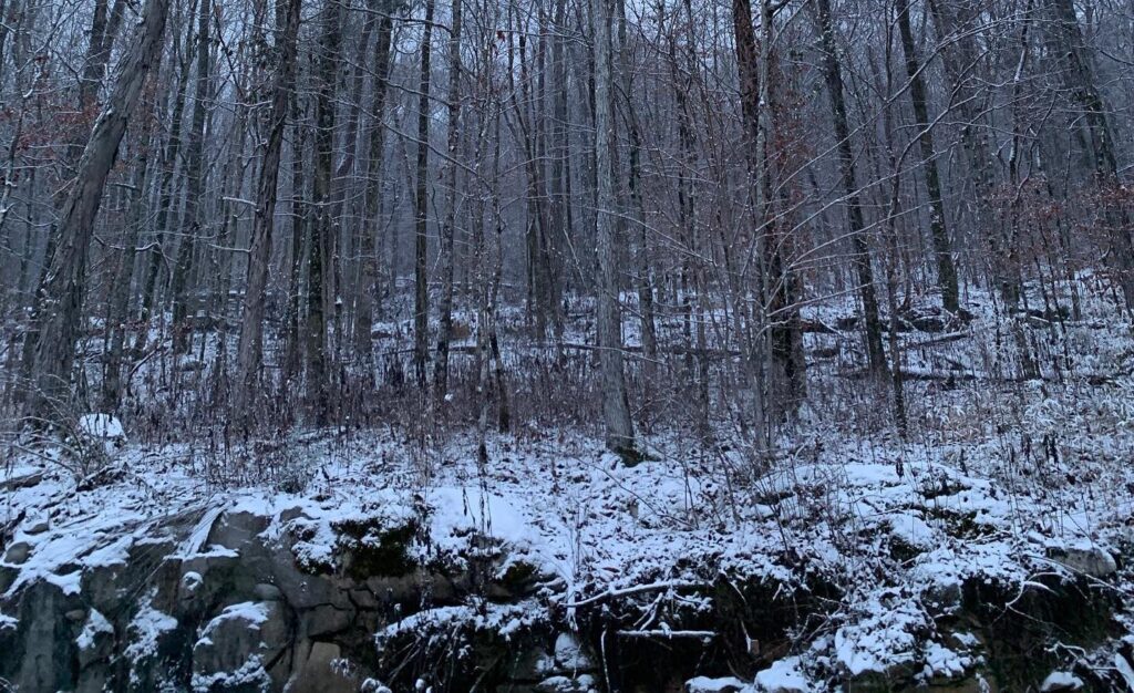 Snow + freezing temps may be coming to Huntsville this week Snow + freezing temps may be coming to Huntsville this week