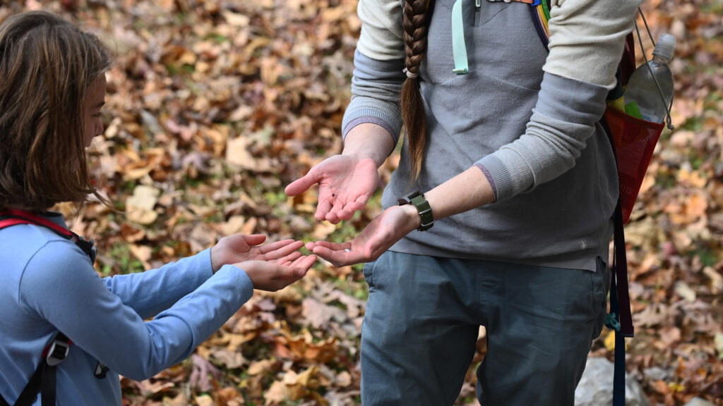 Land Trust among 8 nonprofits to win new Navistar grant awards Land Trust among 8 nonprofits to win new Navistar grant awards