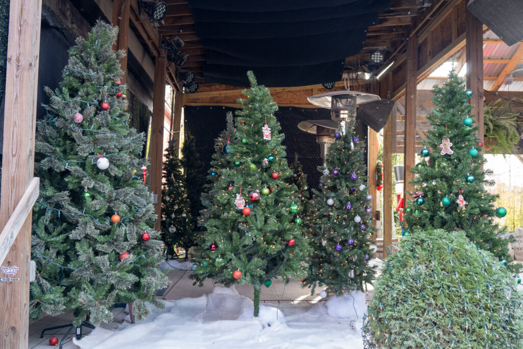 Here’s where you can recycle your Christmas tree in Huntsville right now Here’s where you can recycle your Christmas tree in Huntsville right now