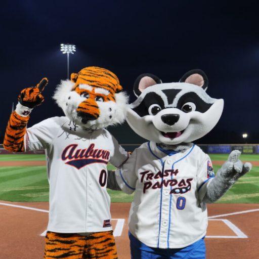 How to see the Tide + Tigers baseball games at Toyota Field How to see the Tide + Tigers baseball games at Toyota Field