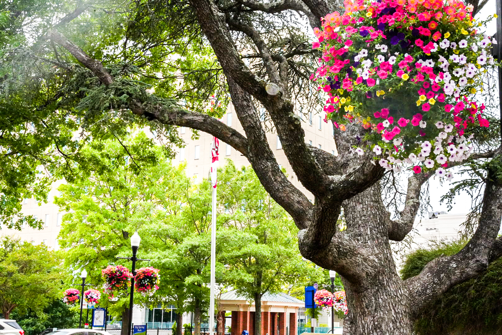 8 awesome spring festivals you need on your calendar 8 awesome spring festivals you need on your calendar