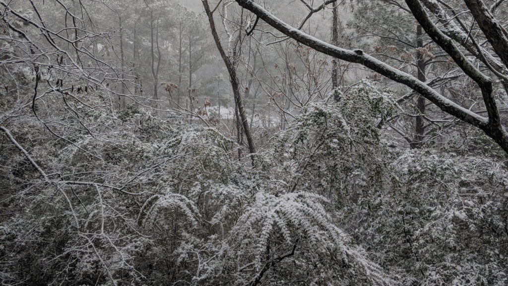 Freezing temperatures Monday in Huntsville—what you need to know Freezing temperatures Monday in Huntsville—what you need to know