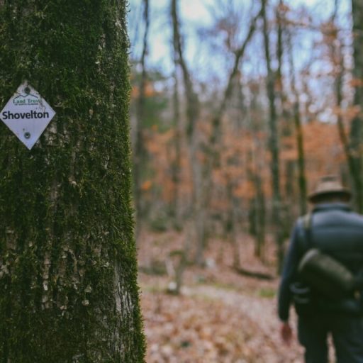 Take one of these guided hikes here in Huntsville this month Take one of these guided hikes here in Huntsville this month