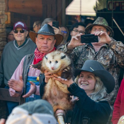 NEW: A North Alabama opossum has predicted an early spring for Groundhog Day NEW: A North Alabama opossum has predicted an early spring for Groundhog Day