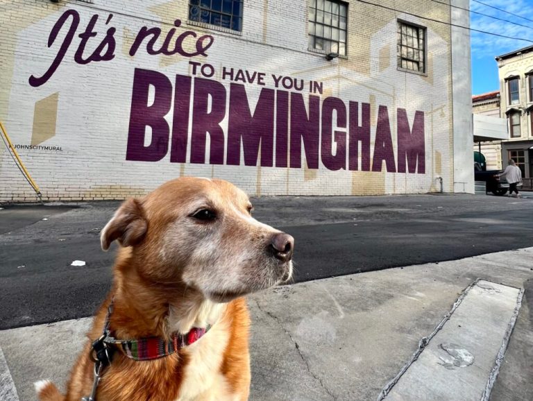The ultimate dog-friendly weekend in Birmingham worth the drive The ultimate dog-friendly weekend in Birmingham worth the drive