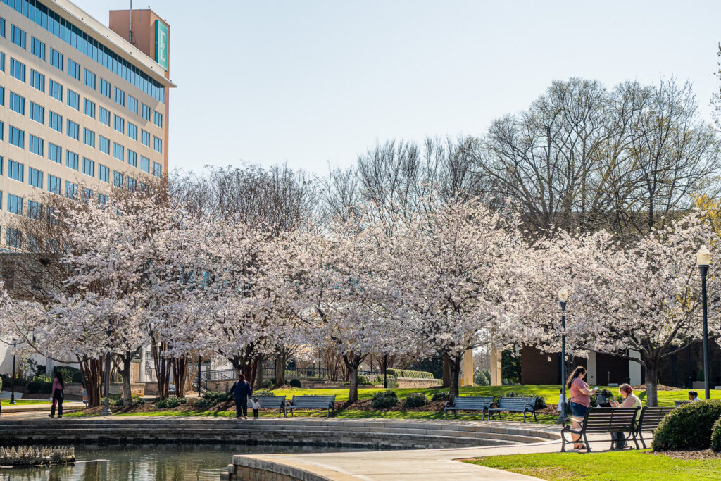 Chamber now taking 2024 Small Business Awards nominees Chamber now taking 2024 Small Business Awards nominees