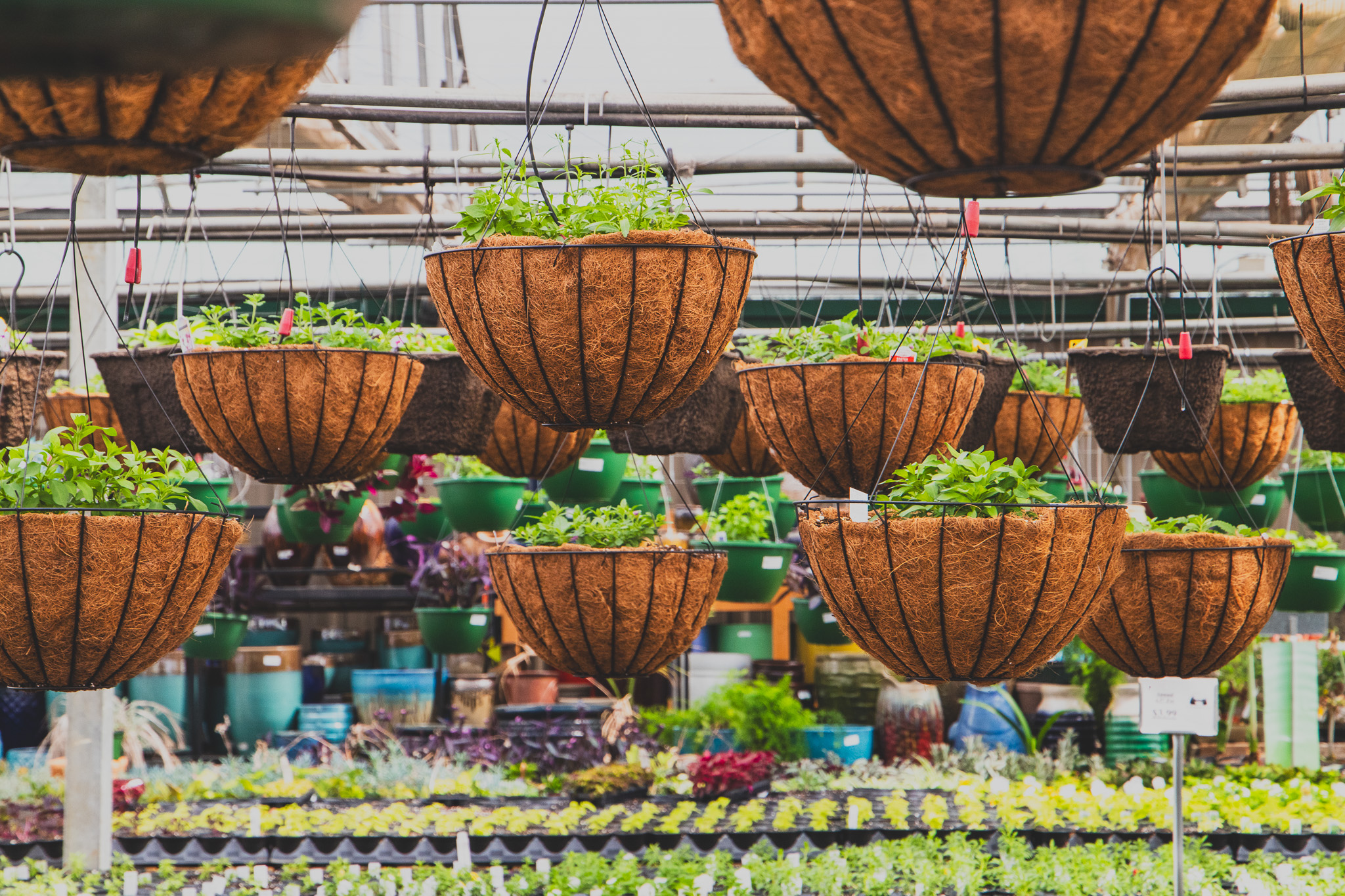 Time to start planning your garden in the south Time to start planning your garden in the south