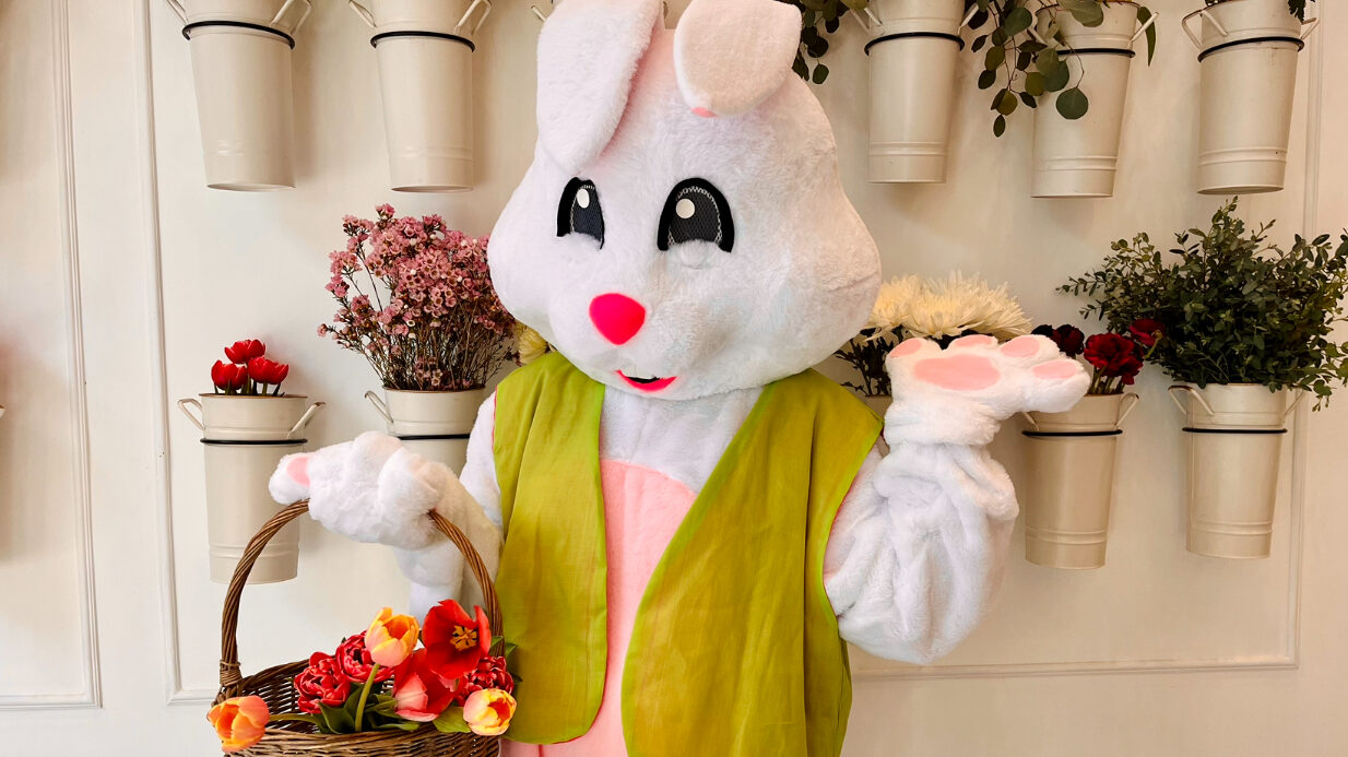 5 Easter egg hunts happening in the Huntsville area 5 Easter egg hunts happening in the Huntsville area